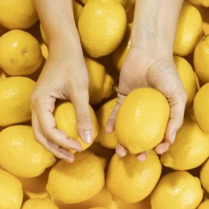 Limoni siciliani freschi e profumati appena raccolti